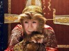 monkey king 2.jpg